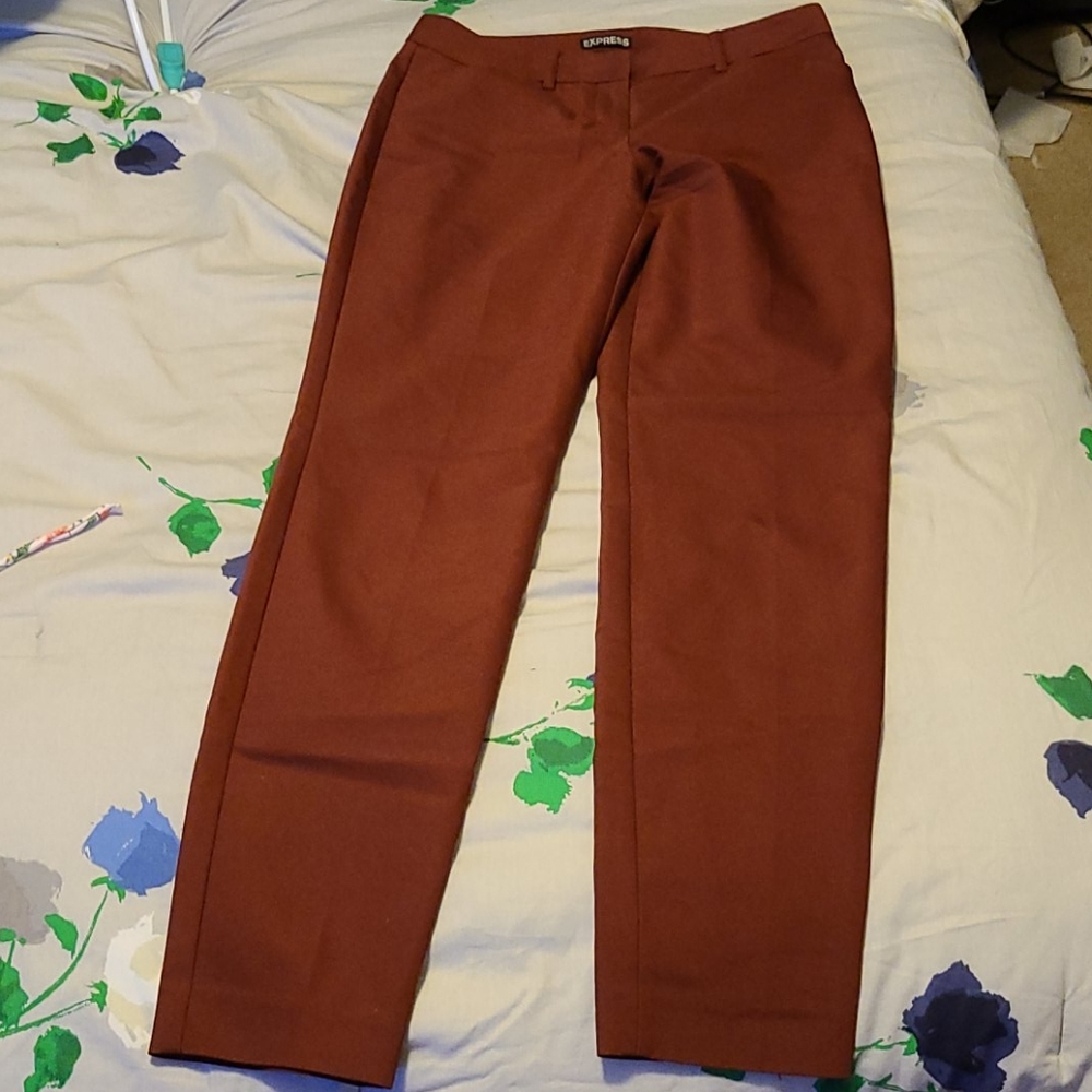 Express editor rust colored dress pant